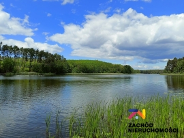 Komfortowe mieszkanie w pobliżu Międzyrzecza